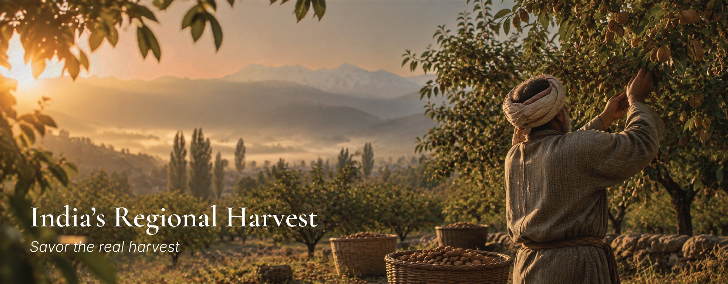 KERVA Regional Harvest
